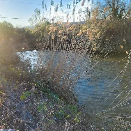 Fbm Anagenessis - ευ ζην アパート *