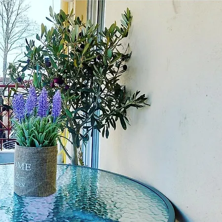 Fbm Anagenessis - ευ ζην エデッサ