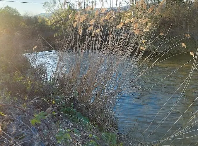 Fbm Anagenessis - ευ ζην Apartamento *