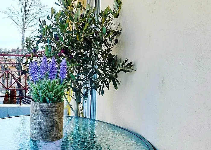 Fbm Anagenessis - ευ ζην Edessa