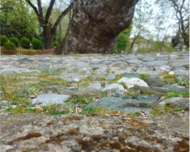 Fbm Anagenessis - ευ ζην Edessa