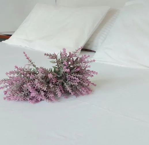 Fbm Anagenessis - ευ ζην Apartamento